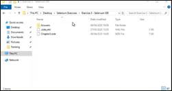 Setup Selenium IDE Browser Extension - file system