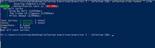 Command Line Selenium